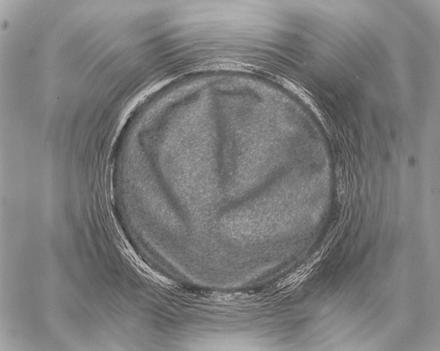 X0000058760987200510211653