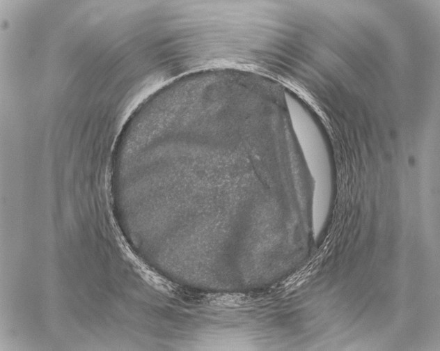 X0000058760991200510211653