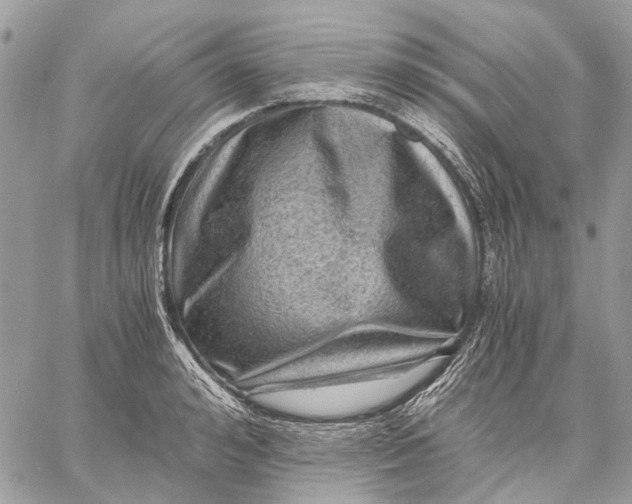 X0000058760992200510211653