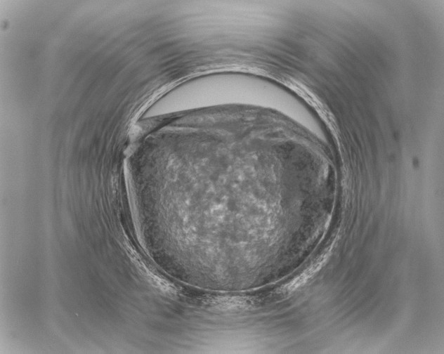 X0000058760993200510211653