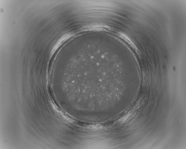 X0000058760994200510211653