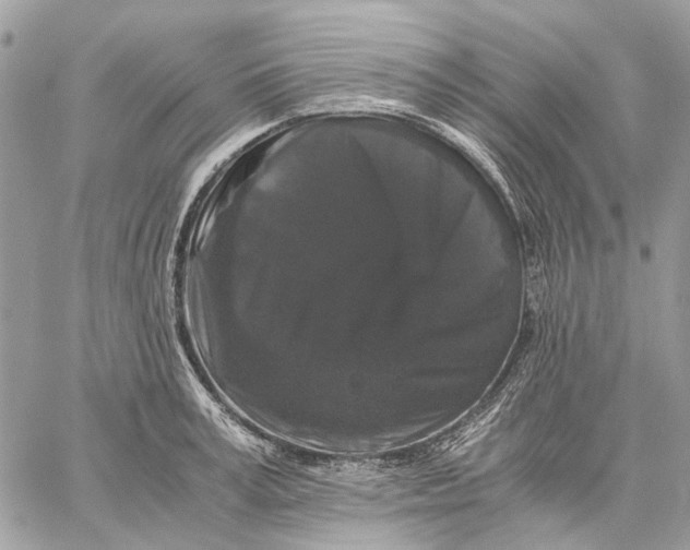 X0000058760995200510211653