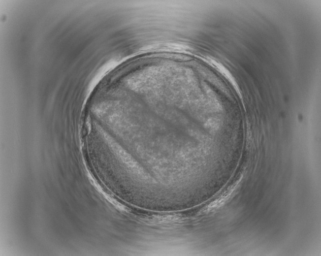 X0000058760997200510211653