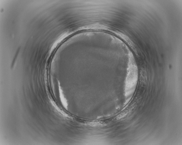 X0000058760998200510211653