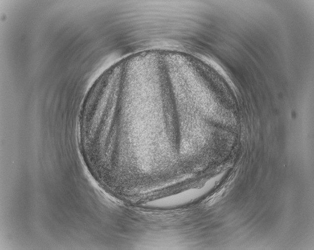 X0000058760999200510211653