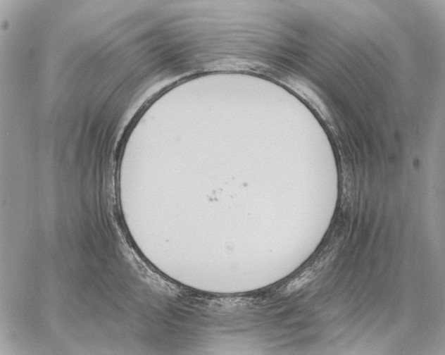 X0000058761000200510211653