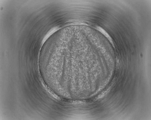 X0000058761002200510211653