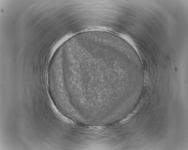 X0000058761003200510211653