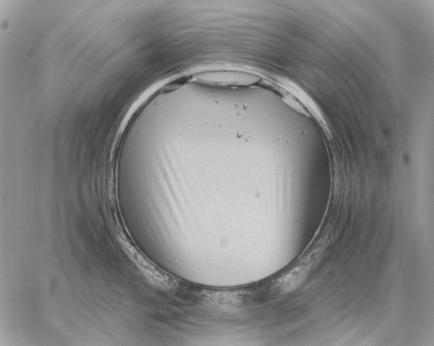 X0000058761004200510211653