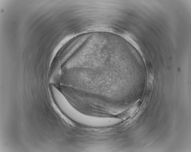 X0000058761005200510211653