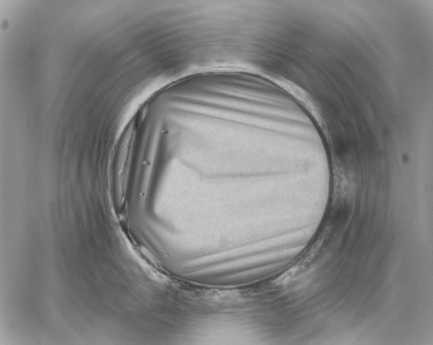 X0000058761006200510211653