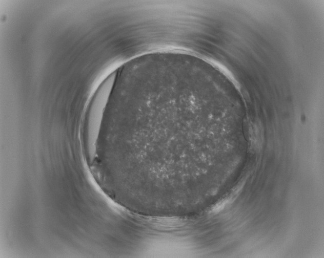 X0000058761007200510211653