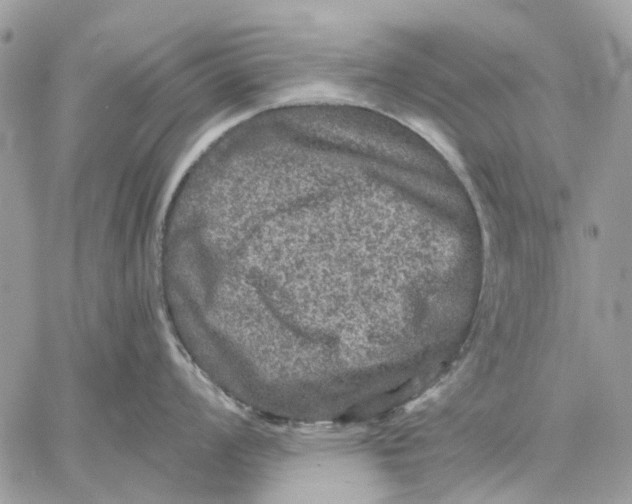 X0000058761008200510211653