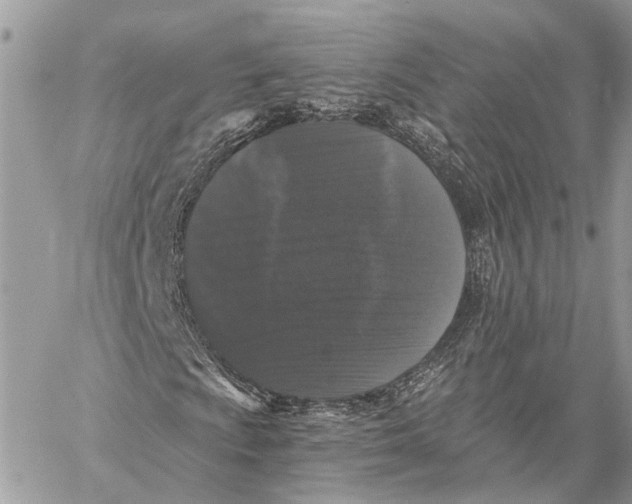 X0000058761009200510211652