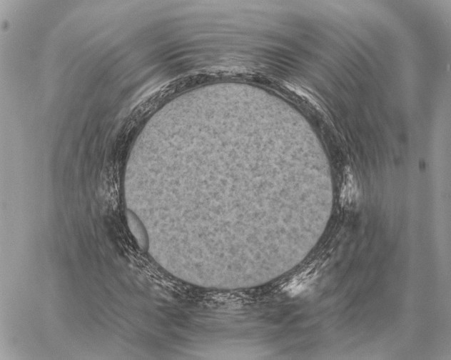 X0000058761015200510211652