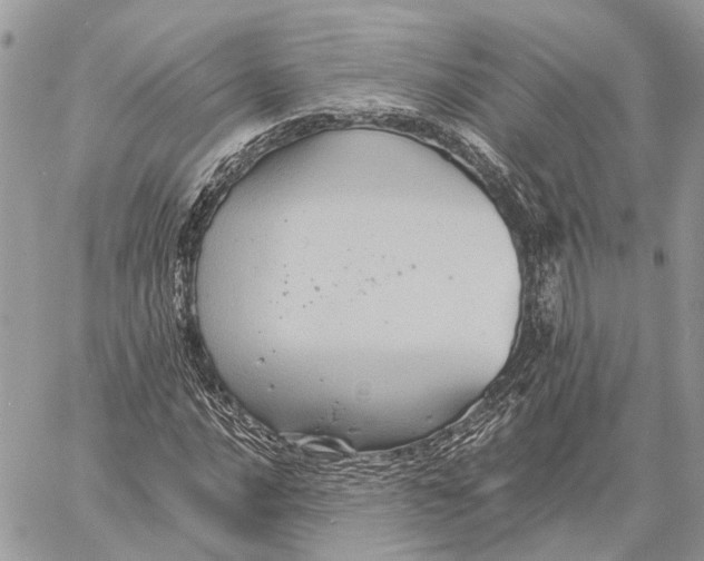 X0000058761016200510211652