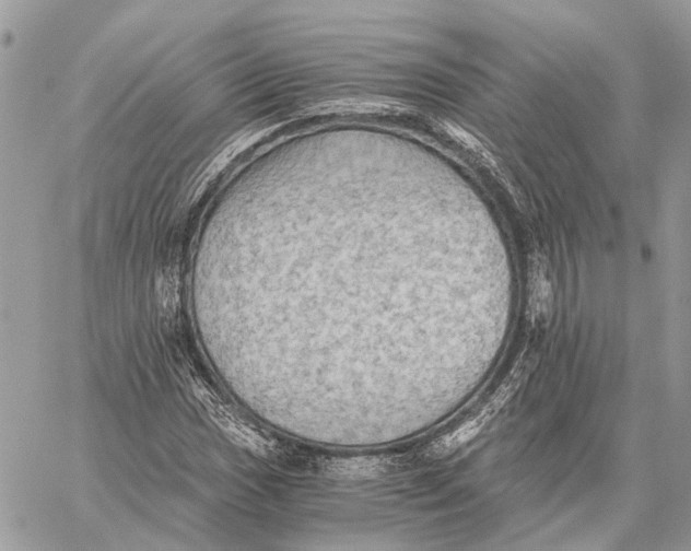 X0000058761017200510211652