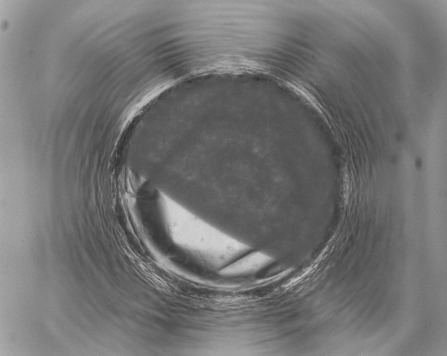 X0000058761018200510211652