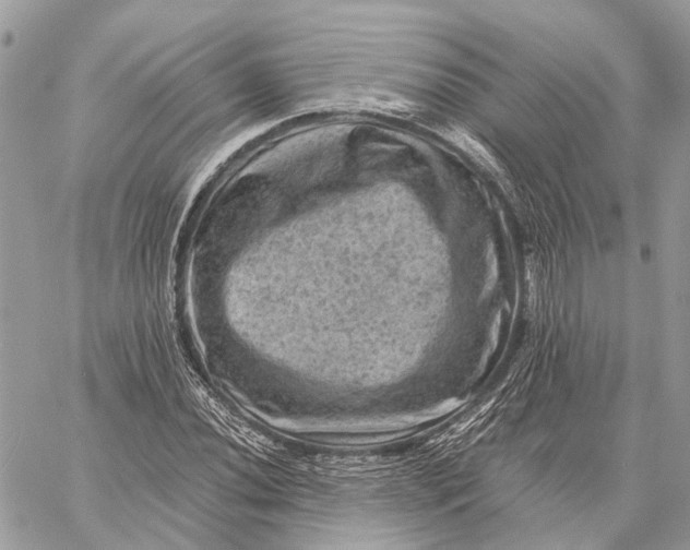 X0000058761020200510211652