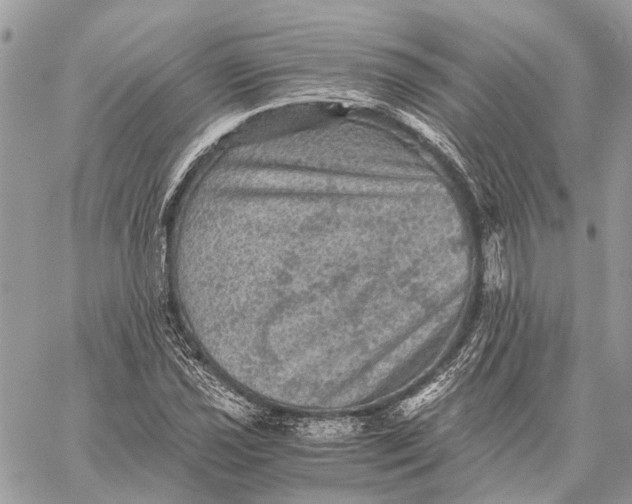 X0000058761021200510211652