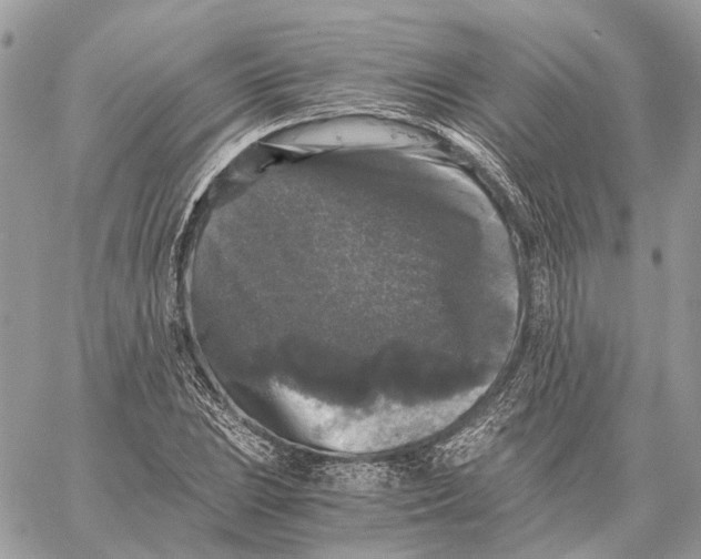 X0000058761023200510211652