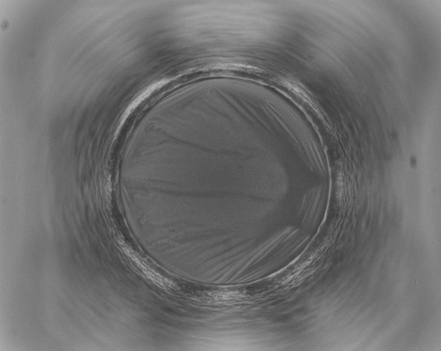 X0000058761024200510211652