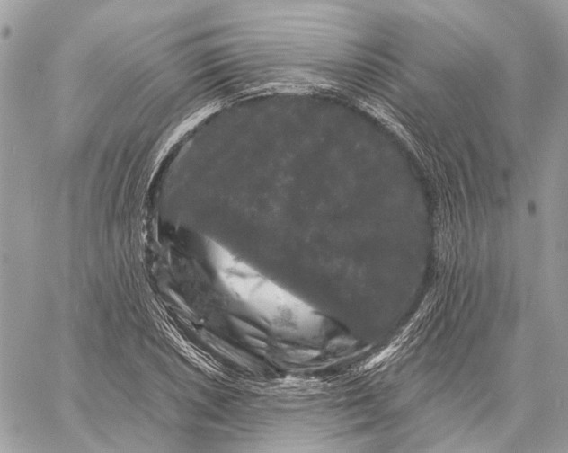 X0000058761026200510211652