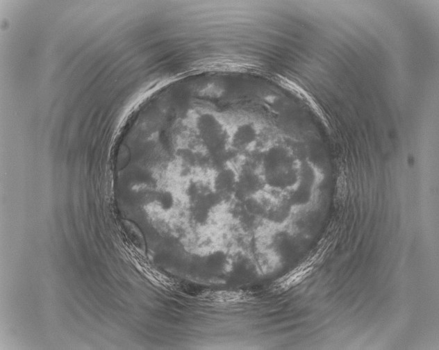 X0000058761027200510211652