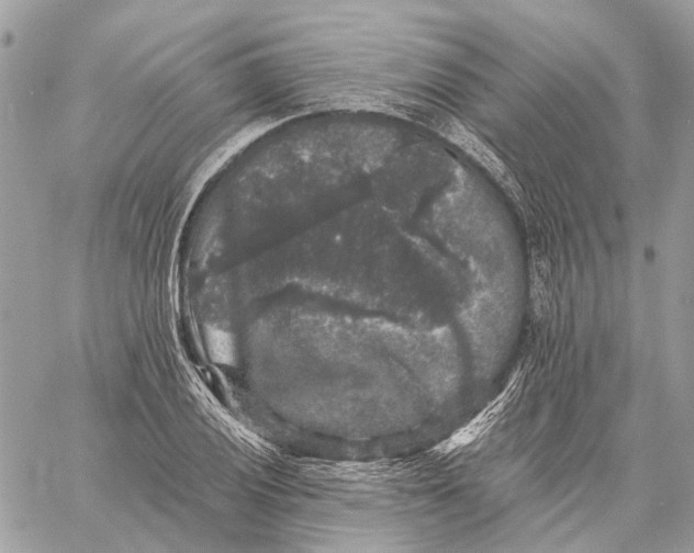 X0000058761028200510211652