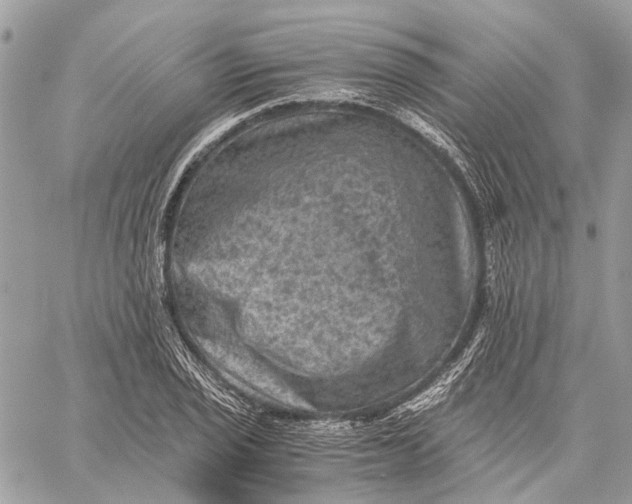 X0000058761029200510211652