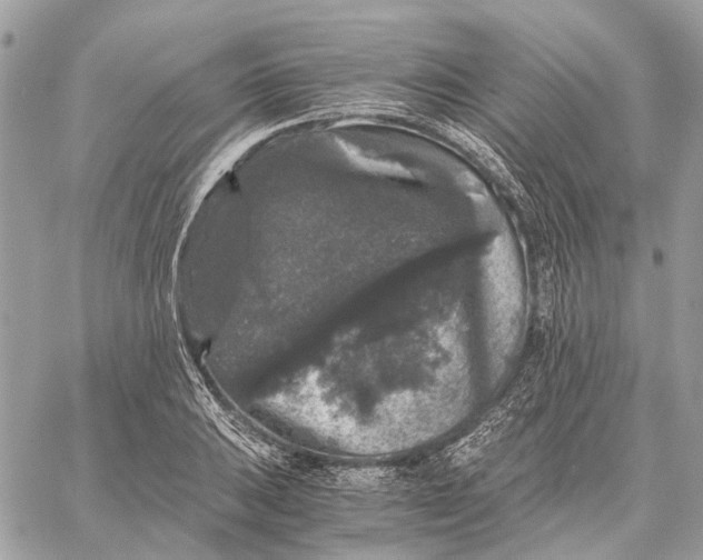 X0000058761031200510211652