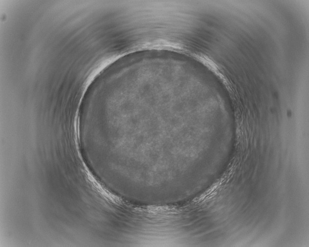 X0000058761032200510211652