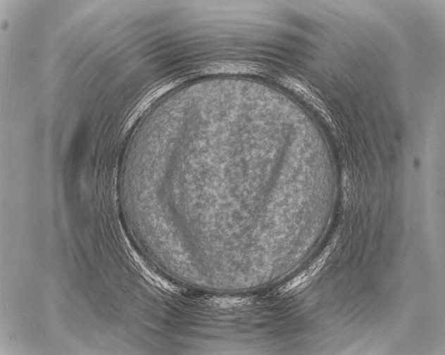 X0000058761033200510211652