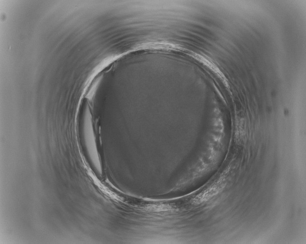 X0000058761037200510211652