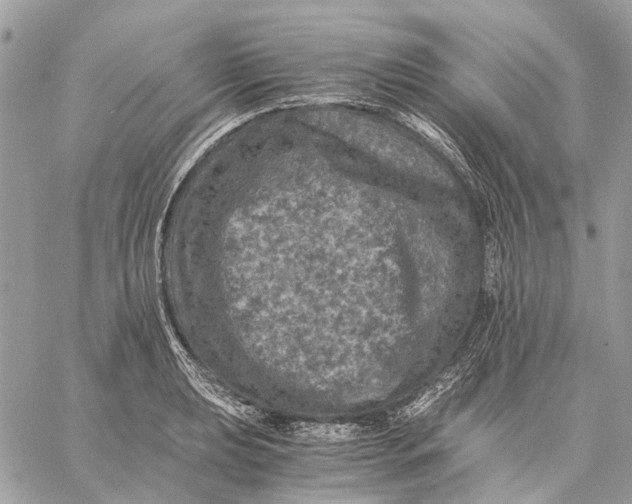 X0000058761039200510211652