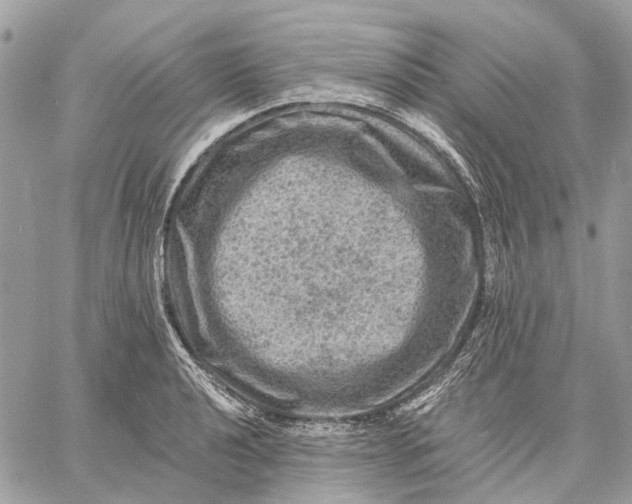 X0000058761040200510211652