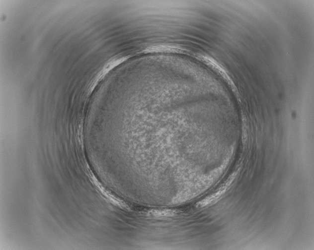 X0000058761041200510211652