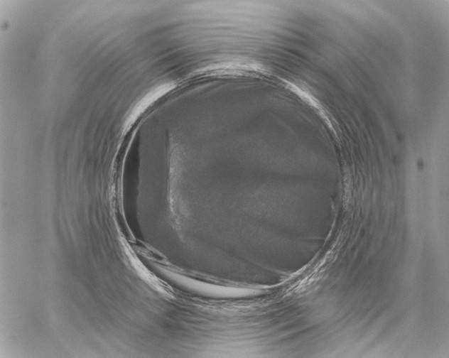 X0000058761042200510211652