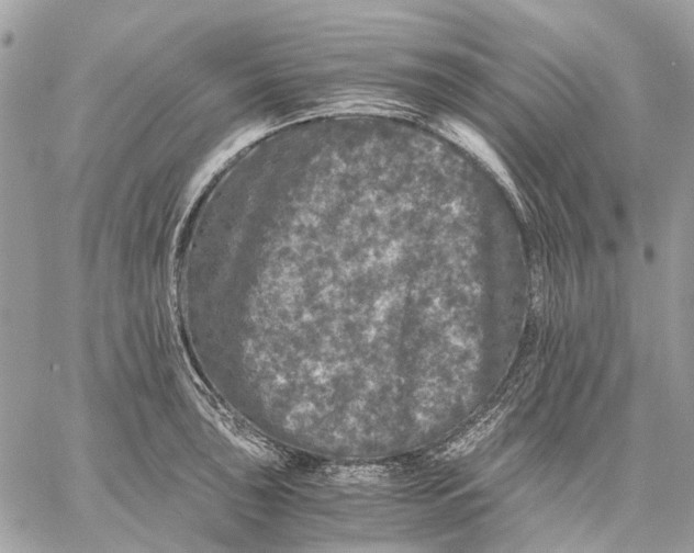 X0000058761043200510211652