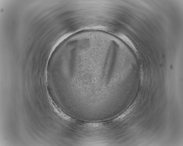 X0000058761044200510211652