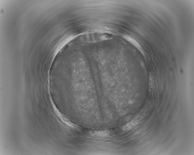 X0000058761047200510211653