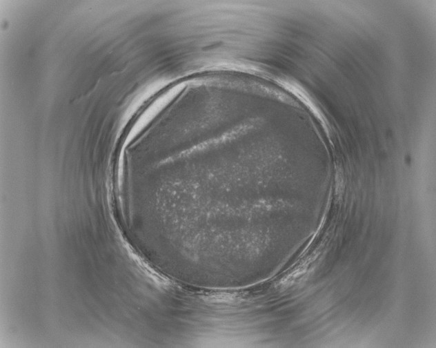 X0000058761048200510211653