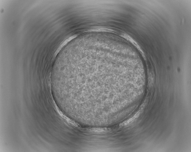 X0000058761049200510211653