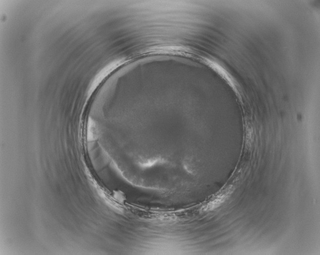 X0000058761050200510211653