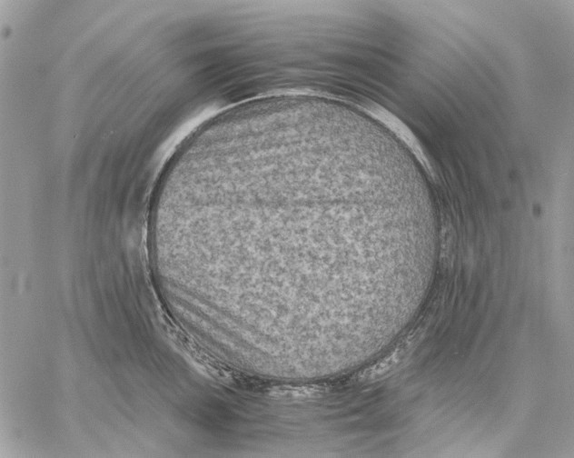 X0000058761051200510211653