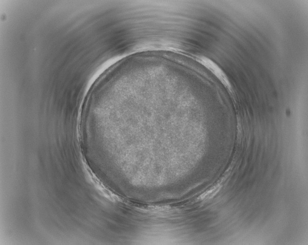 X0000058761052200510211653