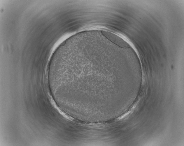 X0000058761053200510211653