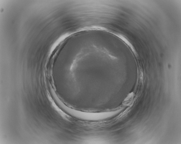 X0000058761054200510211653