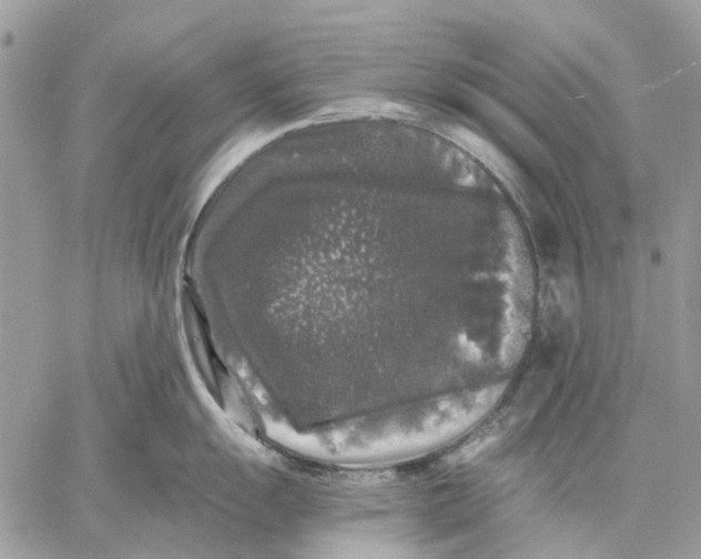 X0000058761055200510211653