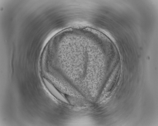 X0000058761056200510211653